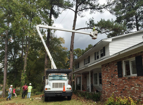 Best Commercial Tree Services  in Yonkers, NY